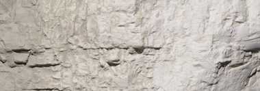 C1217