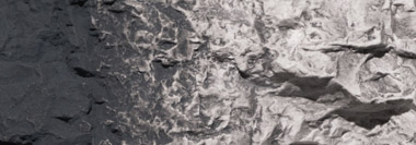 C1219