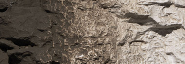 C1221