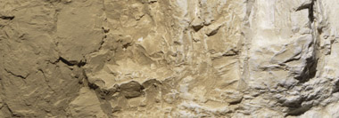 C1223