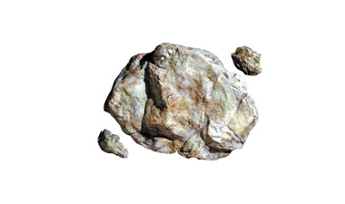 C1238