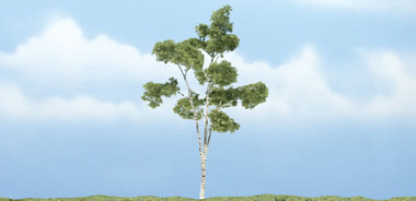TR1616